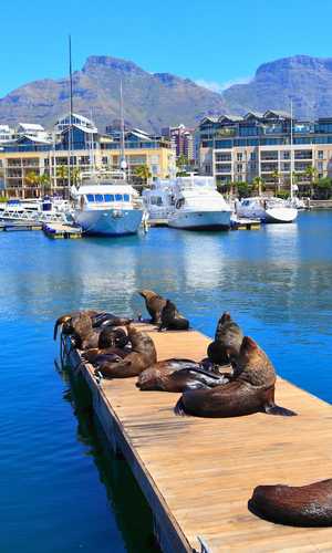 Hop off at Cape Town attractions, museums, and landmarks with a hop-on hop-off bus tour – Convenient stops and sightseeing in 2026